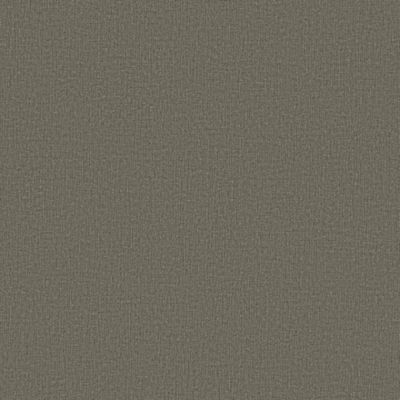 Papel de Parede Texturas II TX3945