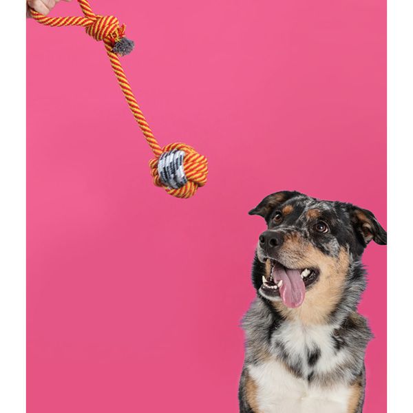 17423318114544 17423318114544