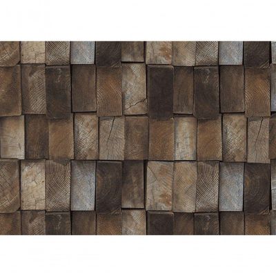 Papel De Parede Terra Gracia Wood Growth Ring (rusty Brown) 831182 Terra Gracia 831182
