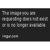17407418989696