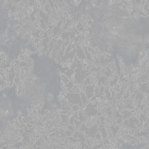 17395583307806