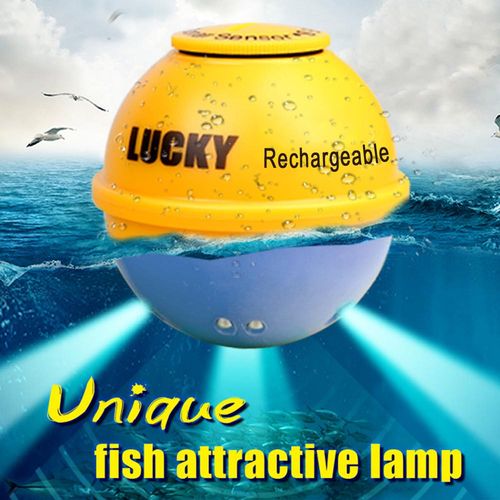 17407020955304