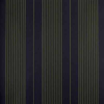 Papel De Parede Listrado Classic Stripes Ct889044 Vinílico - Rolo 10m X 0,53m
