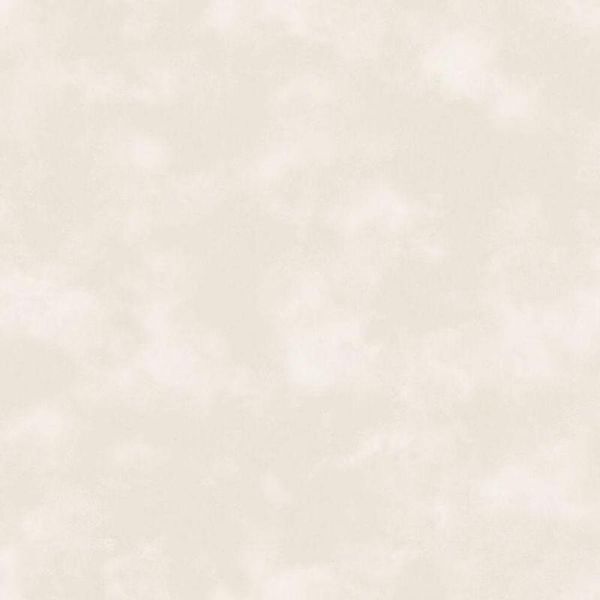 17423117088317