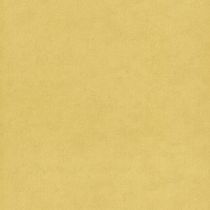 Papel De Parede Les Aventures 4 Uni Amarelo 11202302 Tam 5m²