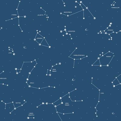 Papel De Parede Pippo Constellation 3361-1 Pippo 3361-1