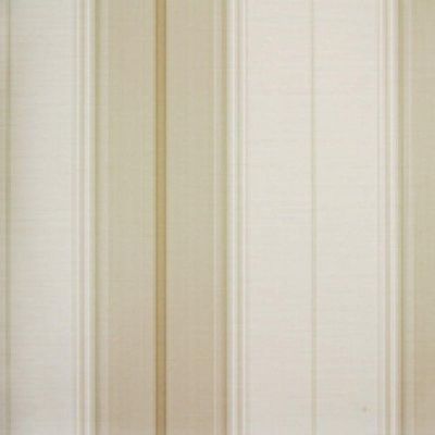 Papel De Parede Listrado Classic Stripes Ct889104 Vinílico - Rolo 10m X 0,53m