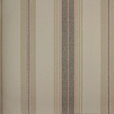 Papel De Parede Listrado Classic Stripes Ct889094 Vinílico - Rolo 10m X 0,53m