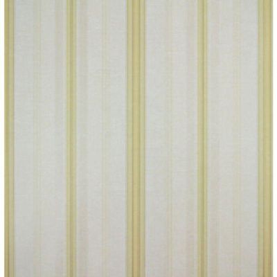 Papel De Parede Listrado Classic Stripes Ct889087 Vinílico - Rolo 10m X 0,53m