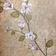 Papel De Parede Rossella Primavera Ro3313 - Rolo 10m X 0,53m