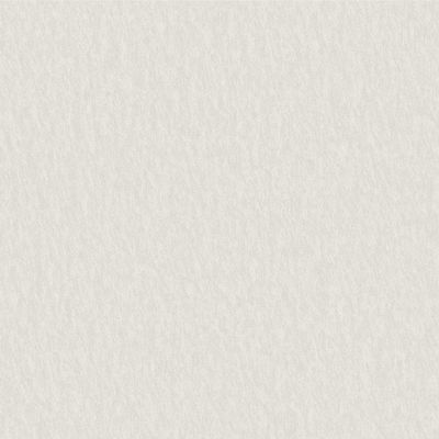 Papel De Parede Pure Style Textura Bege Ps220196