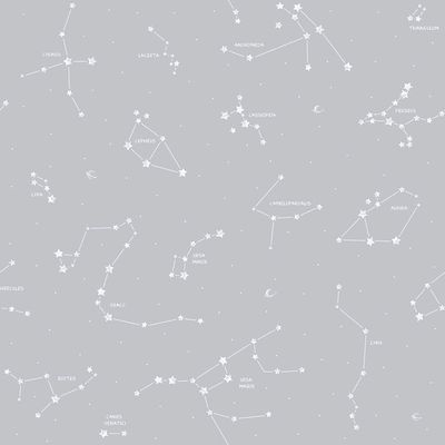 Papel De Parede Pippo Constellation 3361-3 Pippo 3361-3
