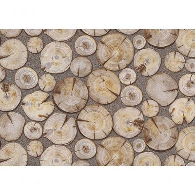 Papel De Parede Terra Gracia Roundwood (light Ash) 831141 Terra Gracia 831141
