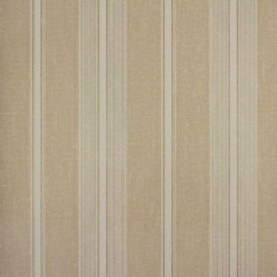 Papel De Parede Listrado Classic Stripes Ct889020 Vinílico - Rolo 10m X 0,53m