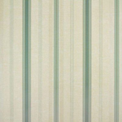 Papel De Parede Listrado Classic Stripes Ct889089 Vinílico - Rolo 10m X 0,53m