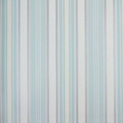 Papel De Parede Listrado Classic Stripes Ct889078 Vinílico - Rolo 10m X 0,53m