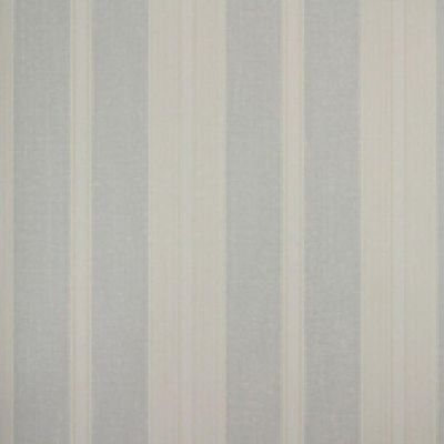 Papel De Parede Listrado Classic Stripes Ct889018 Vinílico - Rolo 10m X 0,53m