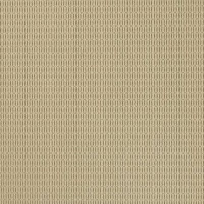 Papel De Parede Vinílico Bright Wall Y6131102