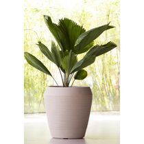Vaso Tramontina Egípcio em Polietileno Areia 29 cm