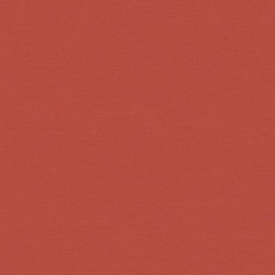 Papel de Parede The Wall 2 Textura Vermelho 371785