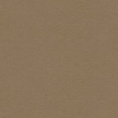 Papel de Parede The Wall 2 Textura Marrom 306892