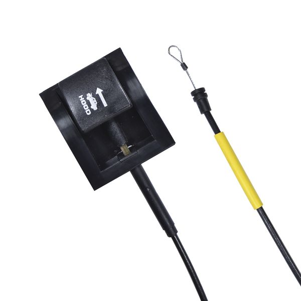 17174575498372 17174575498372