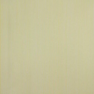 Papel De Parede Listrado Classic Stripes Ct889028 Vinílico - Rolo 10m X 0,53m