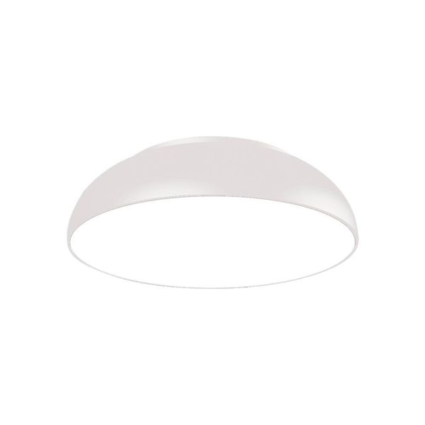 17399918448314 17399918448314