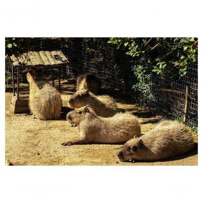 Kit 2 Quebra-cabeças Animais Capivaras De 60 Peças