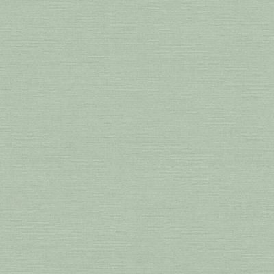 Papel de Parede The Wall 2 Textura Verde 371788