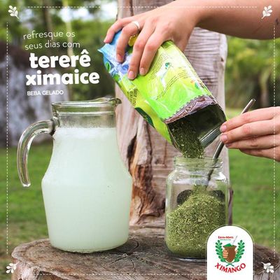 Kit 10 Erva-mate Tererê Limão Gengibre 250g Ximango Ximaice