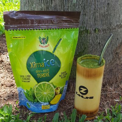 Kit 10 Erva-mate Tererê Limão Gengibre 250g Ximango Ximaice