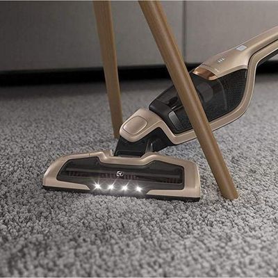 Aspirador De Pó Electrolux Ergorapido Erg26 Dourado Bivolt