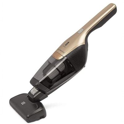 Aspirador De Pó Electrolux Ergorapido Erg26 Dourado Bivolt