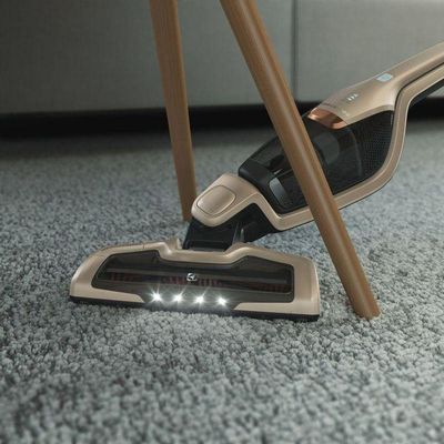 Aspirador De Pó Vertical Electrolux Ergorapido 2 Em 1dourado Bocal Pet (erg26) 60ml - Bivolt