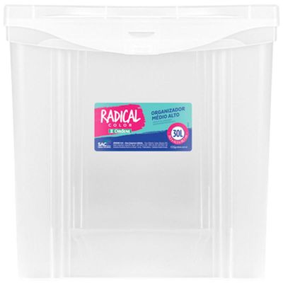 2 Caixas Organizadoras Plástica Altas 30L Ordene Organize Brinquedos Closet Incolor