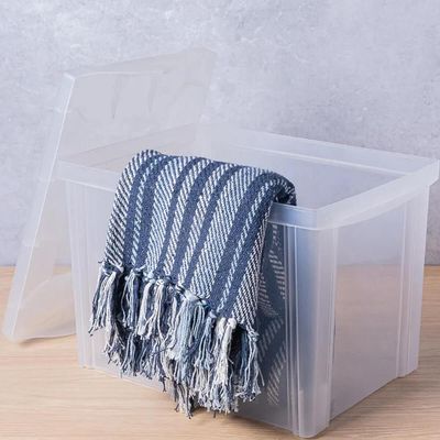 2 Caixas Organizadoras Plástica Altas 30L Ordene Organize Brinquedos Closet Incolor