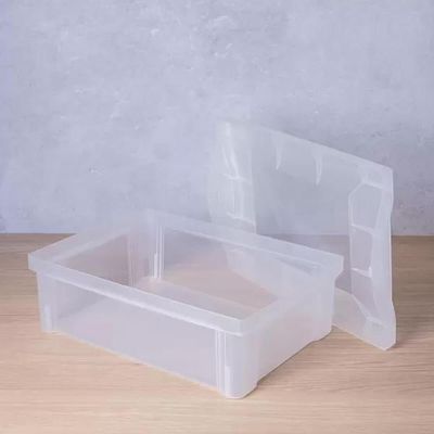 Caixa Organizadora Plástica Transparente 13,5L Ordene com Tampa Radical Color Média Organize