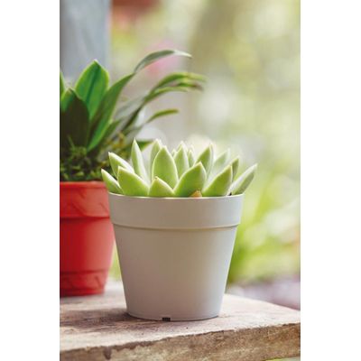 Vaso Chacepot 10cm Branco Antigo