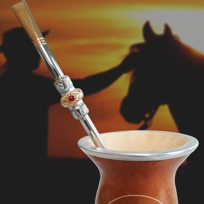 Conjunto Kit Cuia E Bomba Para Chimarrão Mate Terere Porongo Caramelo