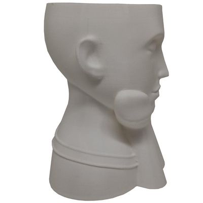 Rosto Enfeite Decoração Impressão 3d Porta Objeto Vaso 14 Cm Sala Branco