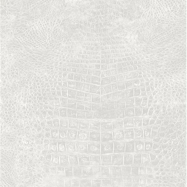 17169870995168 17169870995168