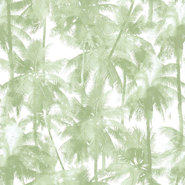 17169865945343 17169865945343