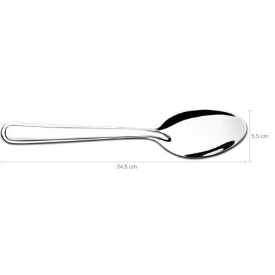 Kit 25 Colheres Grandes de Inox para Servir Arroz Molhos para Hotéis Restaurantes Taumer