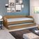 Bicama Solteiro Duo Luxo Com Cama Auxiliar Em Mdf Premium Amendoa