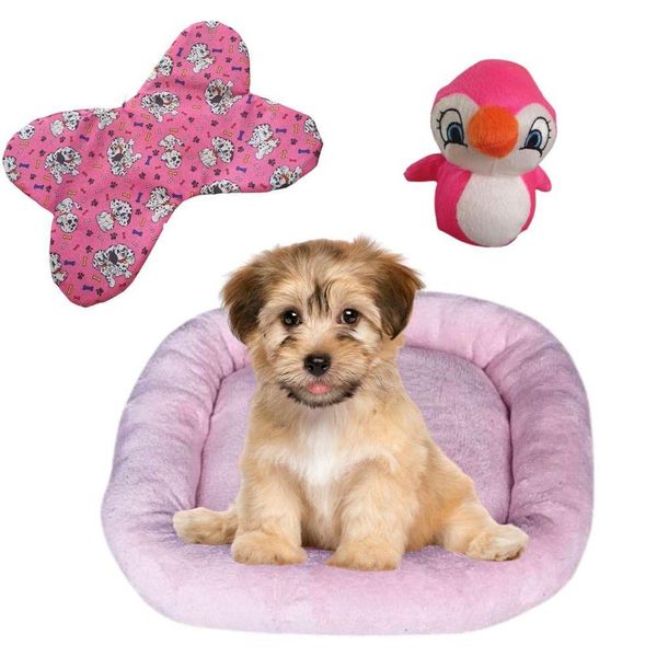 17443784440372 17443784440372