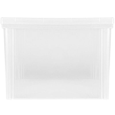 2 Caixas Organizadoras Plásticas 65L Tampa com Trava Empilháveis Transparentes Radical Color