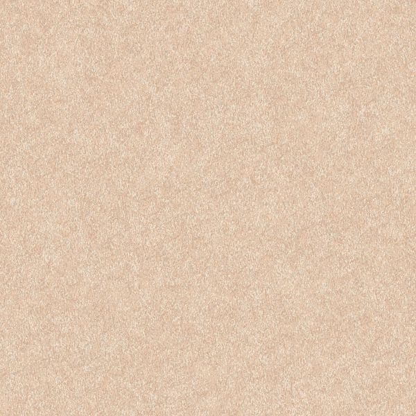 17169869715651 17169869715651