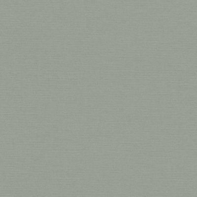 Papel de Parede The Wall 2 Textura Verde 390976