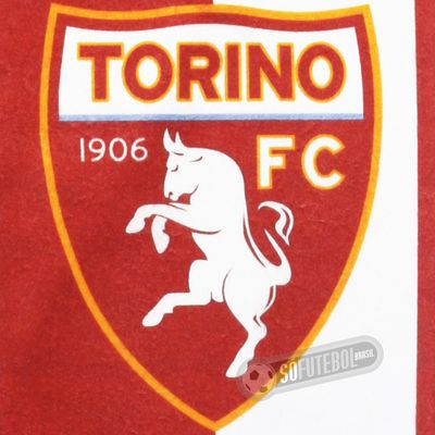 Cachecol Torino